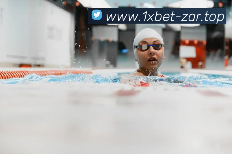 1xbet官网平台生态图